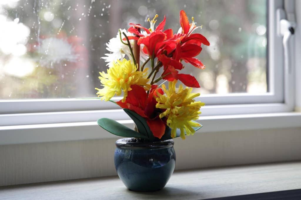 Edinburgh - Seton Sands-Cameo Caravan-Pet Friendly Bagian luar foto